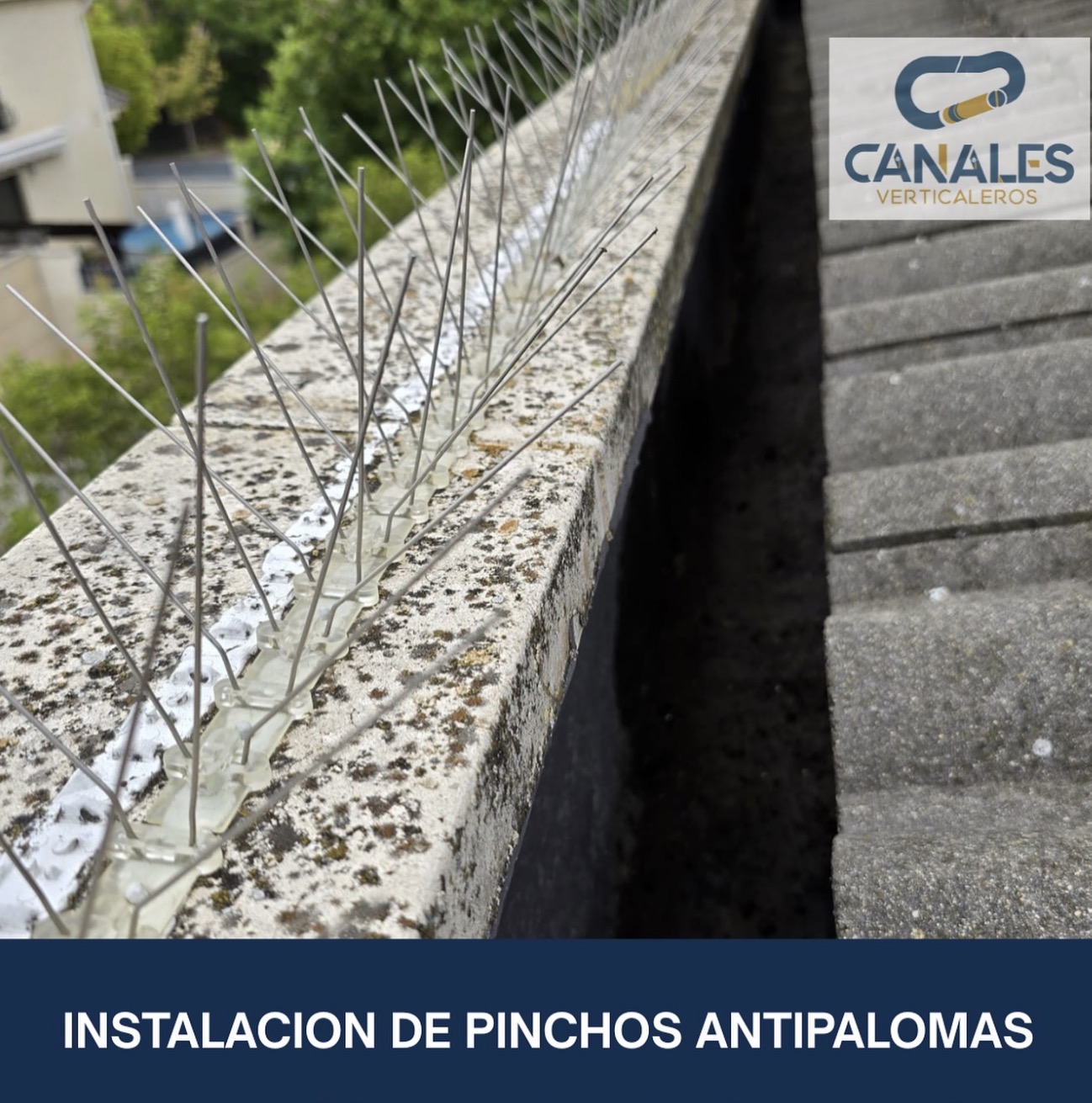 Instalación de pinchos antipalomas